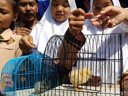 Oded Akui Program Chickenisasi Terhenti Sementara Imbas COVID-19