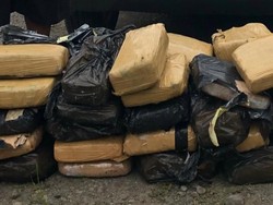 Polisi Tangkap Pembawa 58 Kg Ganja Asal Aceh di Langkat