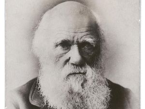 Ternyata Charles Darwin Tak Pernah Bilang Manusia Berasal dari Kera Ternyata Charles Darwin Tak Pernah Bilang Manusia Berasal dari Kera
