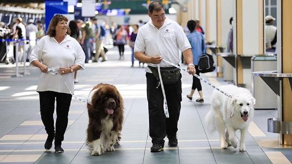 Potret 5 Bandara Tersehat & Paling Membahagiakan di Dunia