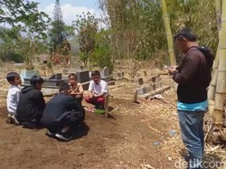 4 Bocah Garut Diserang Tawon, 1 Orang Tewas