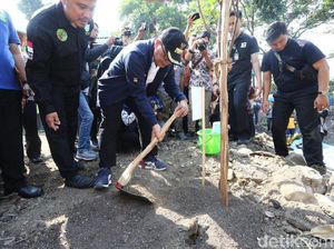 Hijaukan Bandung, Pemkot Sebar 15 Ribu Bibit Pohon untuk Ditanam