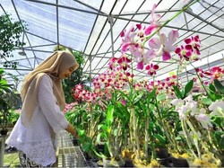 Semarak Bunga Anggrek Bersemi di Eks Lokalisasi Sememi