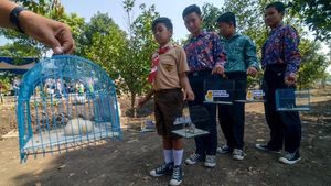 Pemkot Bandung Bagi-bagi Anak Ayam untuk Cegah Kecanduan Gadget
