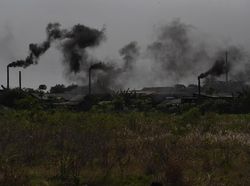 Sampah Home Industri Ketupat Bikin Polusi, Apa Solusi Hukumnya?