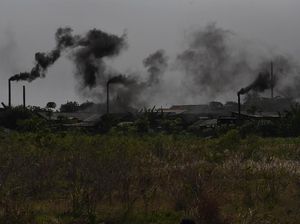 Sampah Home Industri Ketupat Bikin Polusi, Apa Solusi Hukumnya?