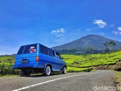 Gunung Dempo Ditutup Gegara Harimau Berkeliaran