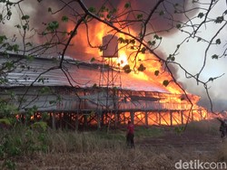 Kompleks Kandang Ayam Terbakar, 2 Damkar dan Water Cannon Diterjunkan
