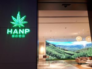 China Produksi Baju dari Serat Ganja, Diklaim Ramah Lingkungan dan Antibau