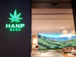 China Produksi Baju dari Serat Ganja, Diklaim Ramah Lingkungan dan Antibau