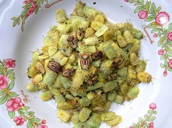 Tumis Serangga Berbau Tajam Jadi Makanan Favorit Warga Desa di China