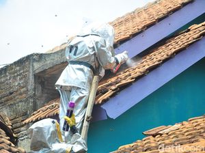 Bulan November Ini, 9 Kasus Tawon Vespa Terjadi di Kudus Bulan November Ini, 9 Kasus Tawon Vespa Terjadi di Kudus
