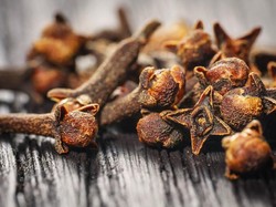 5 Fakta Unik Cengkeh Indonesia, Pohon Tertuanya Berusia 400 Tahun