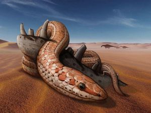 Fosil Ular Berkaki Ungkap Fakta Mengejutkan Fosil Ular Berkaki Ungkap Fakta Mengejutkan