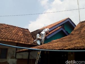 Video Damkar Evakuasi Sarang Tawon Vespa yang Serang 2 Anak