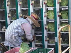 Canggih! Petani Sayuran dan Buah Ini, Jual Hasil Panen Pakai Mesin Otomatis