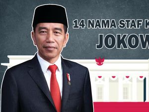 Ini 14 Nama Staf Khusus Pilihan Jokowi