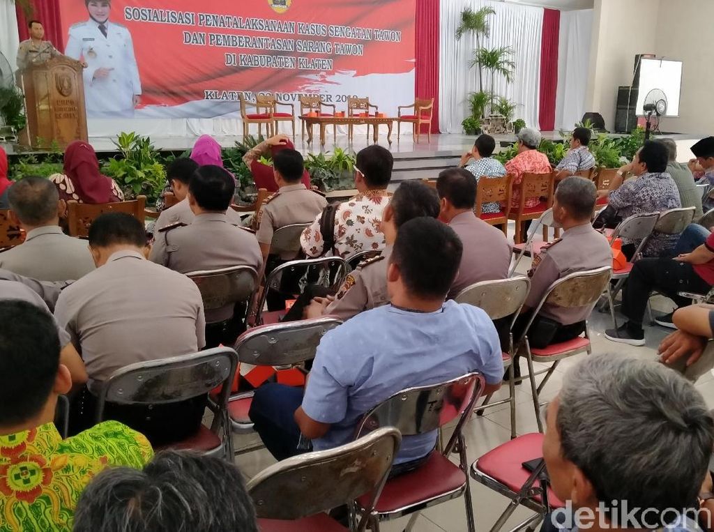 Sejak 2017, 10 Orang Tewas Disengat Tawon Vespa di Klaten Sejak 2017, 10 Orang Tewas Disengat Tawon Vespa di Klaten