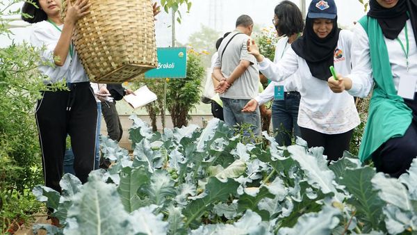 Upaya Mendukung Regenerasi Petani