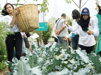 Upaya Mendukung Regenerasi Petani