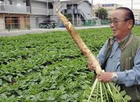 Canggih! Petani Sayuran dan Buah Ini, Jual Hasil Panen Pakai Mesin Otomatis