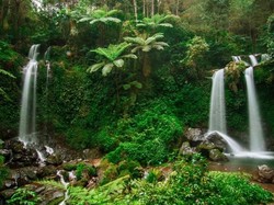 5 Air Terjun Menawan dari Magelang