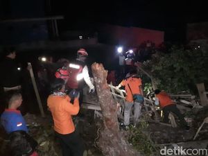 Dua Warga Temanggung Tewas Tertimpa Pohon Beringin