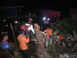 Dua Warga Temanggung Tewas Tertimpa Pohon Beringin