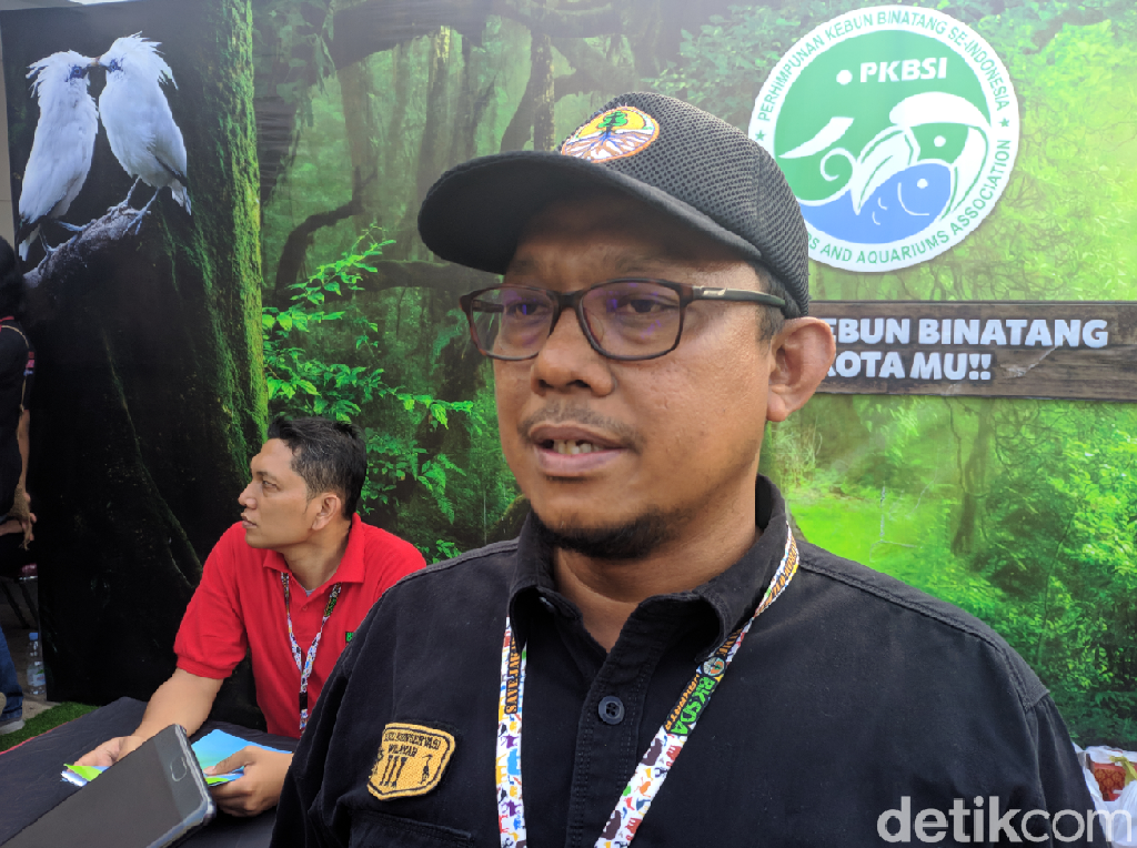 BKSDA DKI Bimbing Milenial Jaga Ekosistem Mangrove BKSDA DKI Bimbing Milenial Jaga Ekosistem Mangrove
