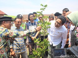 Kata Menteri Desa soal Pabrik Tahu Berbahan Bakar Sampah Plastik Impor