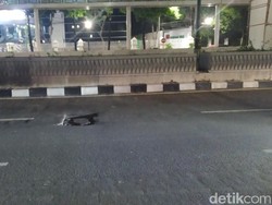 Tolong Ditutup! Lubang di Jl Rasuna Said Jaksel Sering Buat Pemotor Jatuh