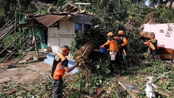 2 Orang Tewas Imbas Pohon Tumbang di Temanggung