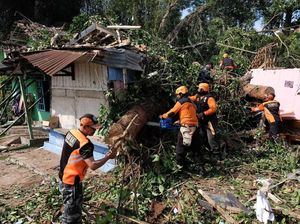 2 Orang Tewas Imbas Pohon Tumbang di Temanggung