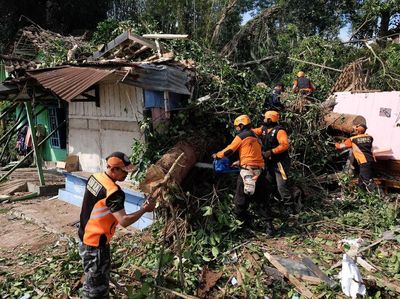 2 Orang Tewas Imbas Pohon Tumbang di Temanggung