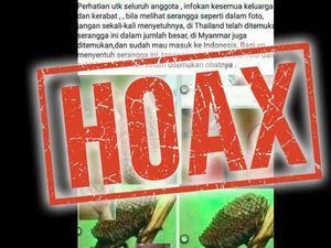 Hoax Serangga Misterius Bikin Tangan Bolong, Nggak Kuat Jangan Lihat! Hoax Serangga Misterius Bikin Tangan Bolong, Nggak Kuat Jangan Lihat!