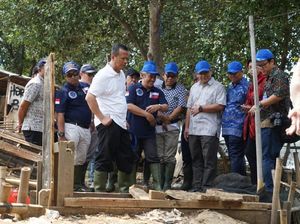 RI Sudah Ekspor 42 Juta Ekor Benih Lobster di Era Edhy Prabowo