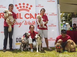 Cegah Rabies, Ratusan Anjing Ikut Veterinary Festival 2019