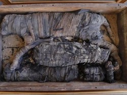 Mumi Singa Superlangka Ditemukan