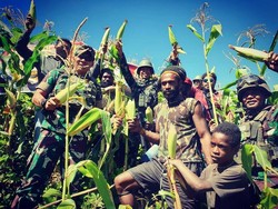 Usai Ikrar Setia NKRI, Eks Ajudan Goliat Tabuni Panen Jagung Bersama TNI