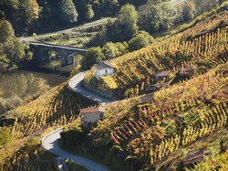 Negara-negara Lawan Corona dengan Larangan Merokok di Tempat Umum