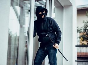 Waduh! Komplotan Pencuri Ini Bawa Kabur 15 Ton Ubi Jalar