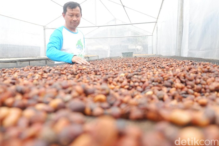 Foto: Uje Hartono/detikcom