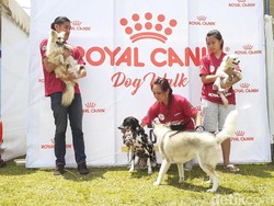 Dinas Peternakan Malang Sebut Belum Ada Larangan Makan Daging Anjing