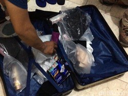 66 WN China Tipu Warga di Negaranya, Kenapa Beroperasi di Indonesia?