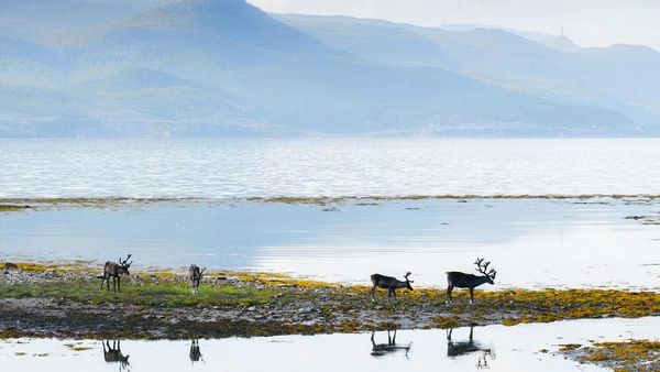 Foto: Tempat-tempat yang Menginspirasi Film Frozen