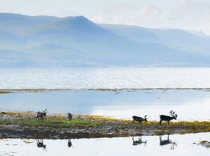 Foto: Tempat-tempat yang Menginspirasi Film Frozen