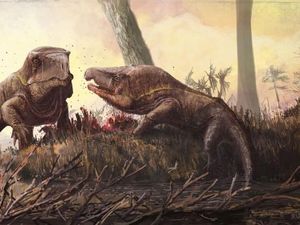 Ilmuwan Ungkap Wujud Monster Purba Mirip Komodo Ilmuwan Ungkap Wujud Monster Purba Mirip Komodo