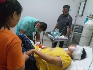 Pipi Perempuan di Makassar Robek Digigit Anjing Pitbull Pipi Perempuan di Makassar Robek Digigit Anjing Pitbull