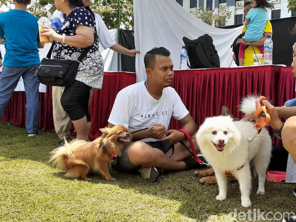 Di Malang Raya, Daging Anjing Dijual Ratusan Ribu Rupiah