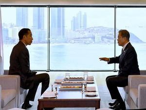 Foto: Jokowi dan Pantai Tercantik di Korsel